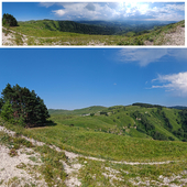 Panoramic view of green hills and forest
