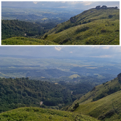 Panoramic view of green hills and forest