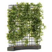 Outdoor Plant Set 032