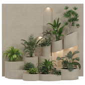 A Collection of Plants in The Garden