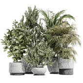 IndoorPlantSet32