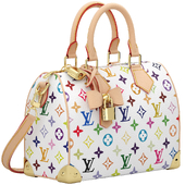 Louis Vuitton Speedy 25 Bag
