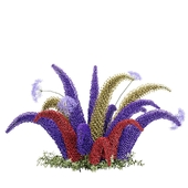 outdoor plant 004