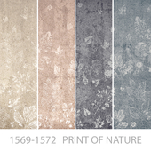 Wallpapers/print of nature