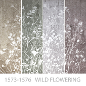 Wallpapers/Wild flowering