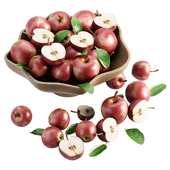 Apple fruit