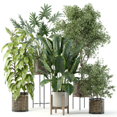 Indoor Plant Set 05