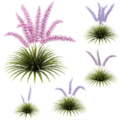 Fantasy Grass Cluster