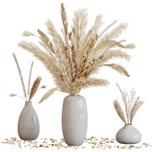 Dried pampas elegance