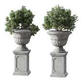 Garden vase 02 - Bush in a Pot