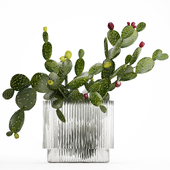 Bouquet of flowers from prickly pear cacti. Set 507.