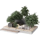 Backyard and Landscape Garden Bonsai Tree and Shrubs Set 398