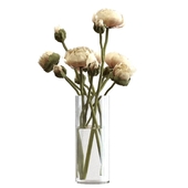 Bouquet of peonies in a glass vase