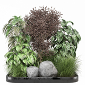 Outdoor bush plants 1753