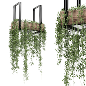 indoor plants in metal box 17 hanging57