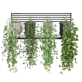 indoor Plants Collection 1760
