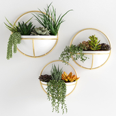 Houseplant 90
