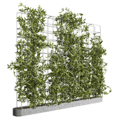 green wall vol 57
