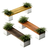 Street Modern Benches with fern