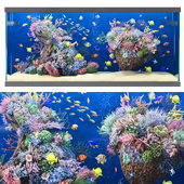 Marine Aquarium 2