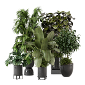 Indoor Plant in Minimal Stone Pot 3021