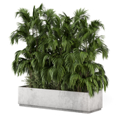 Outdoor Palm Plants Bush Collection_Set 3022