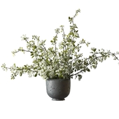 Bouquet of flowering branches in a clay vase