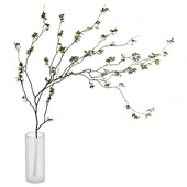 Branch