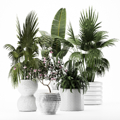indoor plant set 003