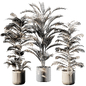 Indoor Plant Set 01 - Indoor - 3D model - photo 5