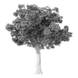 Tree Set.198 - Tree - 3D model