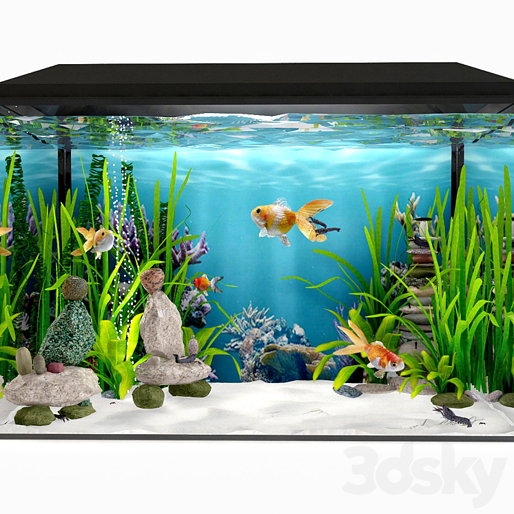 3d fish tank clearance