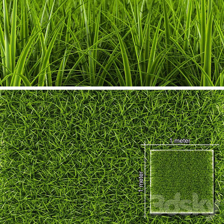 GRASS 1 - Grass - 3D model