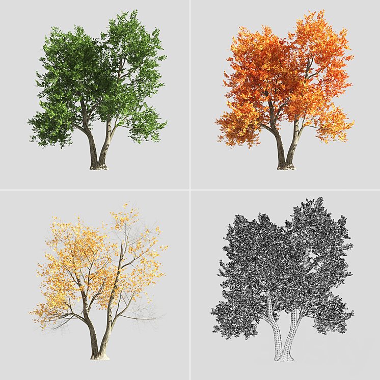 tree - Tree - 3D model