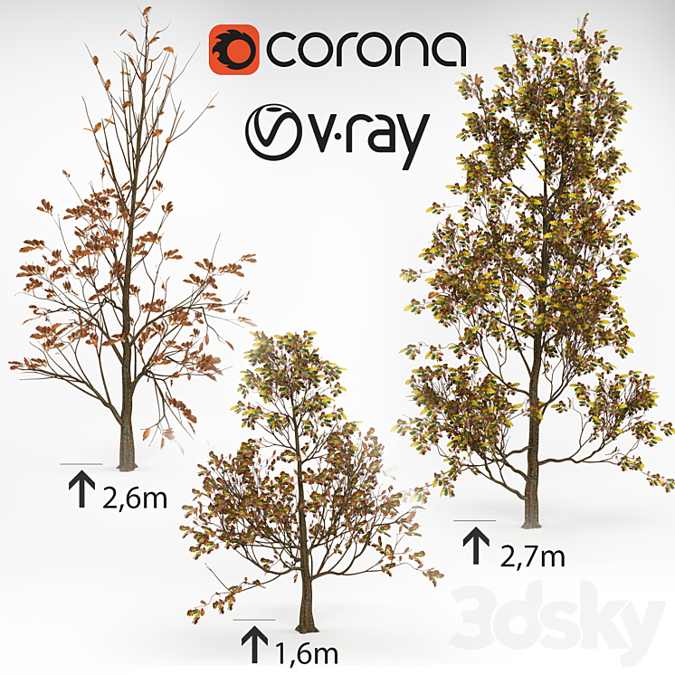 3 Oaks - Tree - 3D model