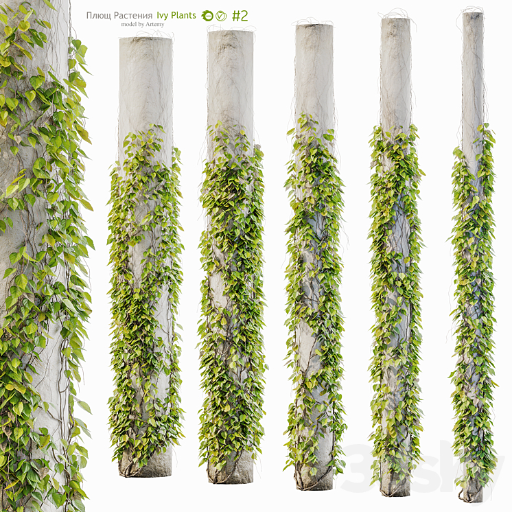 Max Column With Plants #2 / Leaves for columns, trees / Ivy / Set of plants - Outdoor - 3D model