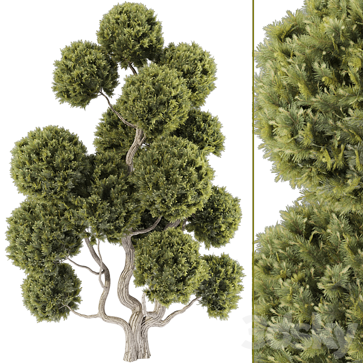 Topiary Ball Tree 144 - Tree - 3D model