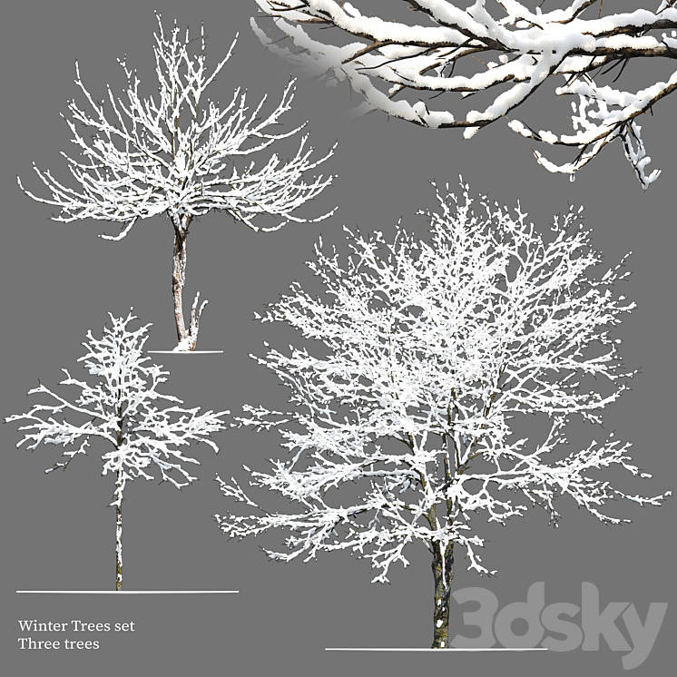 Winter Tree Model Winter trees set - Tree - 3D model