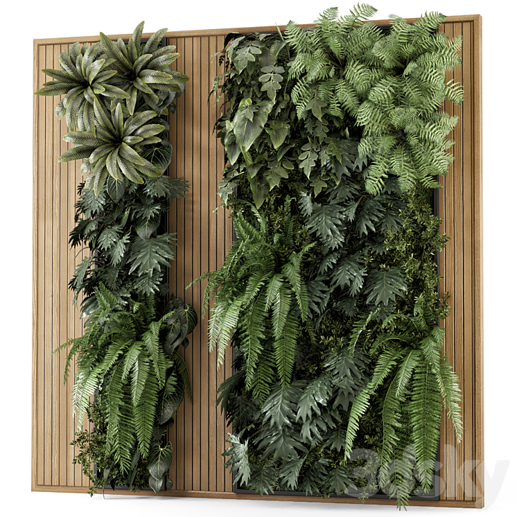 Indoor Wall Vertical Garden in Wooden Base - Set 2027 - Fitowall - 3D model