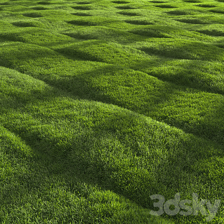 Grass Pattern - Grass - 3D model