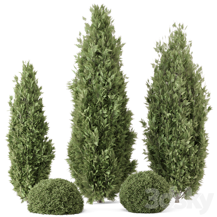 Outdoor Plants Bush Pine Tree 2556 - Bush - 3D model