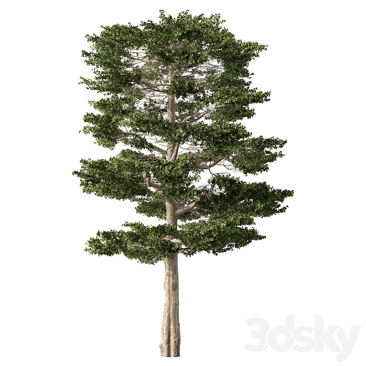 Tree Modwl Tree Set.190 - Tree - 3D model
