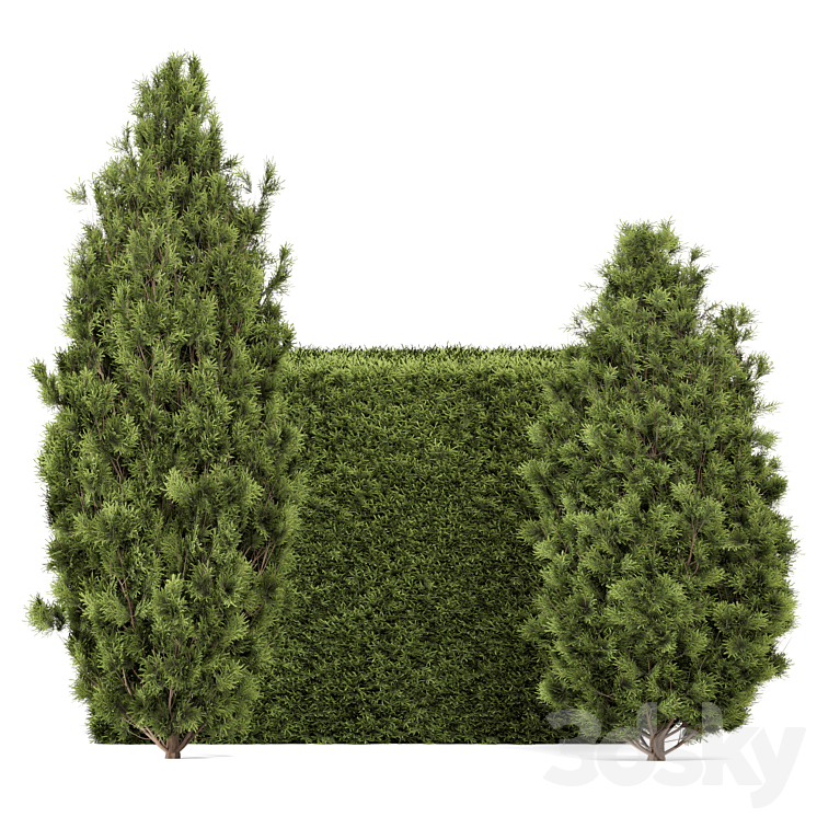 Tree With Rectangular Bush Outdoor Plants Pine Bush and Tree_Bush Set 3123 - Bush - 3D model