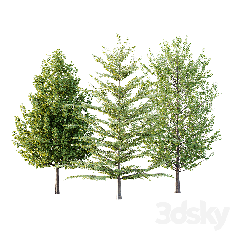 Different Tree Model Different Trees 51 - Tree - 3D model