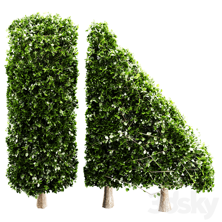 Topiary Boxwood Shrubs Rectangular Oval bush 004 - Bush - 3D model