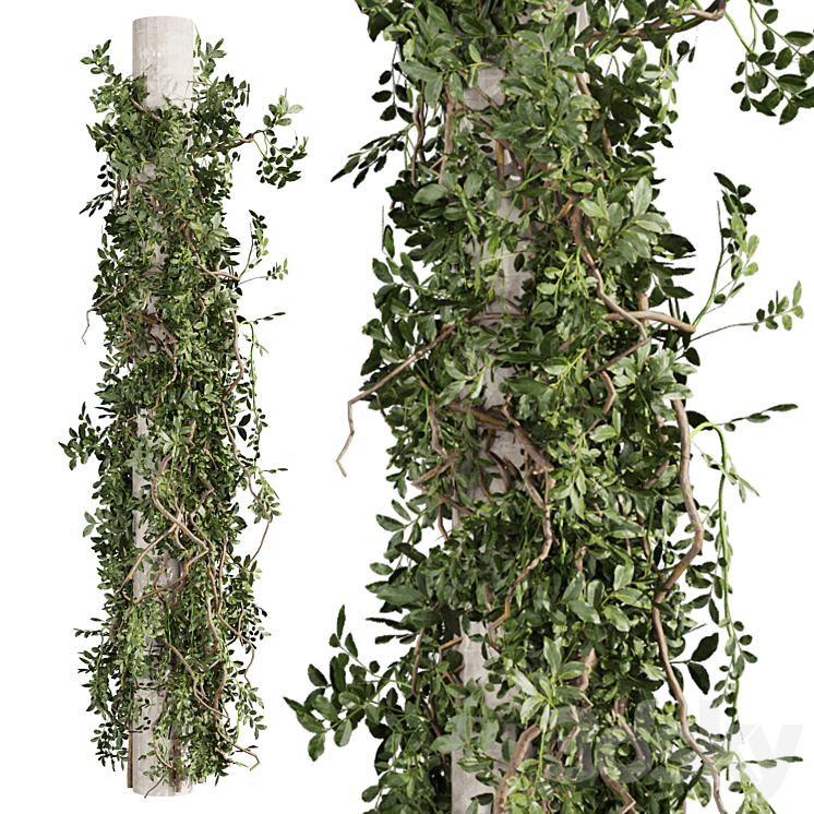 Max Column With Plants plant vol 790 - bush - outdoor - column - fitowall - ivy - Outdoor - 3D ...