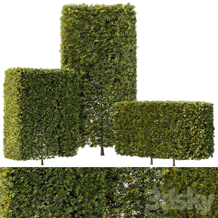 Cubic and Rectangle Topiary Bush - Bush Set 12 - Bush - 3D model
