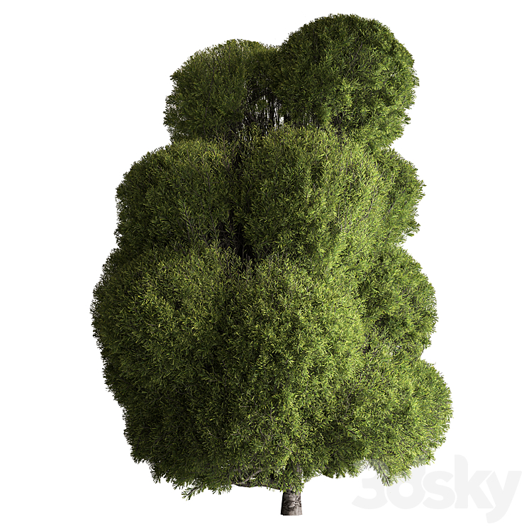 Topiary Ball Pine Tree Set 439 - Tree - 3D model
