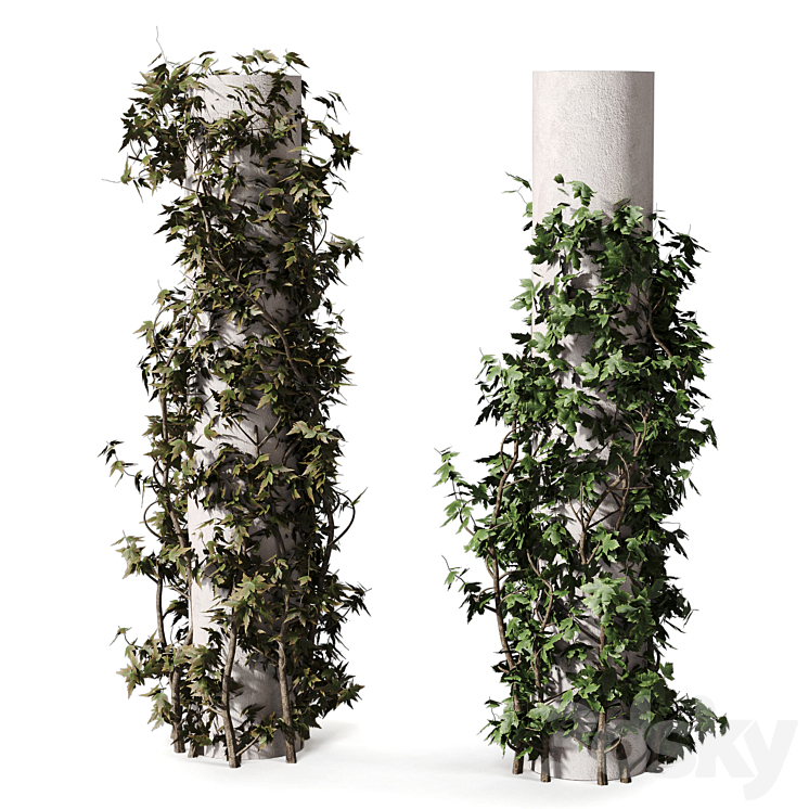 Max Column With Plants Climbing Plants on Columns 477 - Outdoor - 3D model