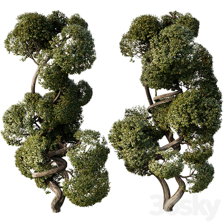 Topiary Ball Trees Set 16 - Tree - 3D model